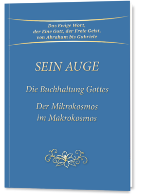Sein Auge – Die Buchhaltung Gottes (Taschenbuch)