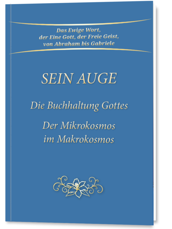 Sein Auge – Die Buchhaltung Gottes (Taschenbuch)